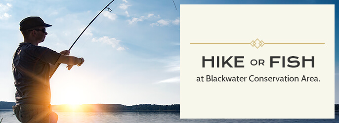 hike or fish at blackwater conservation area