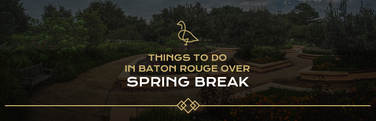 Things to Do in Baton Rouge Over Spring Break