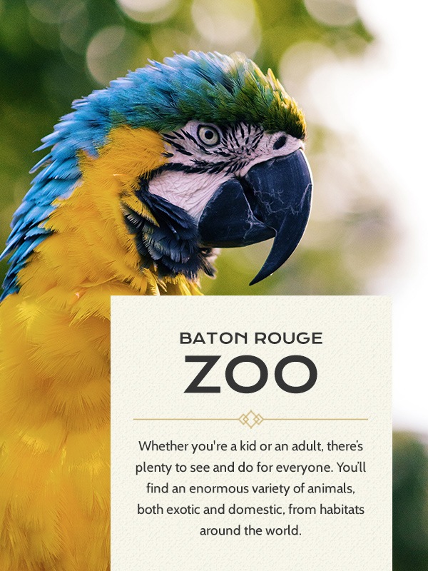 Baton Rouge Zoo