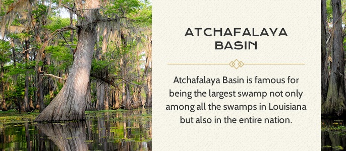 atchafalaya basin