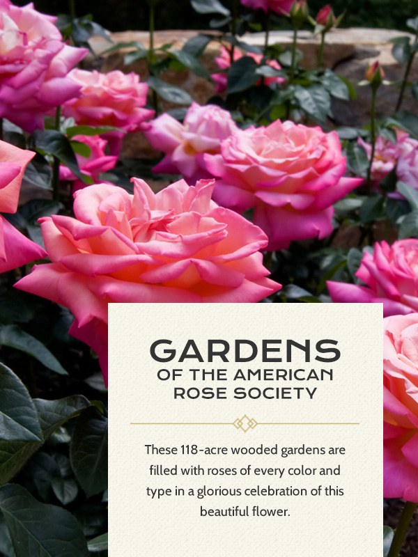 gardens american rose society
